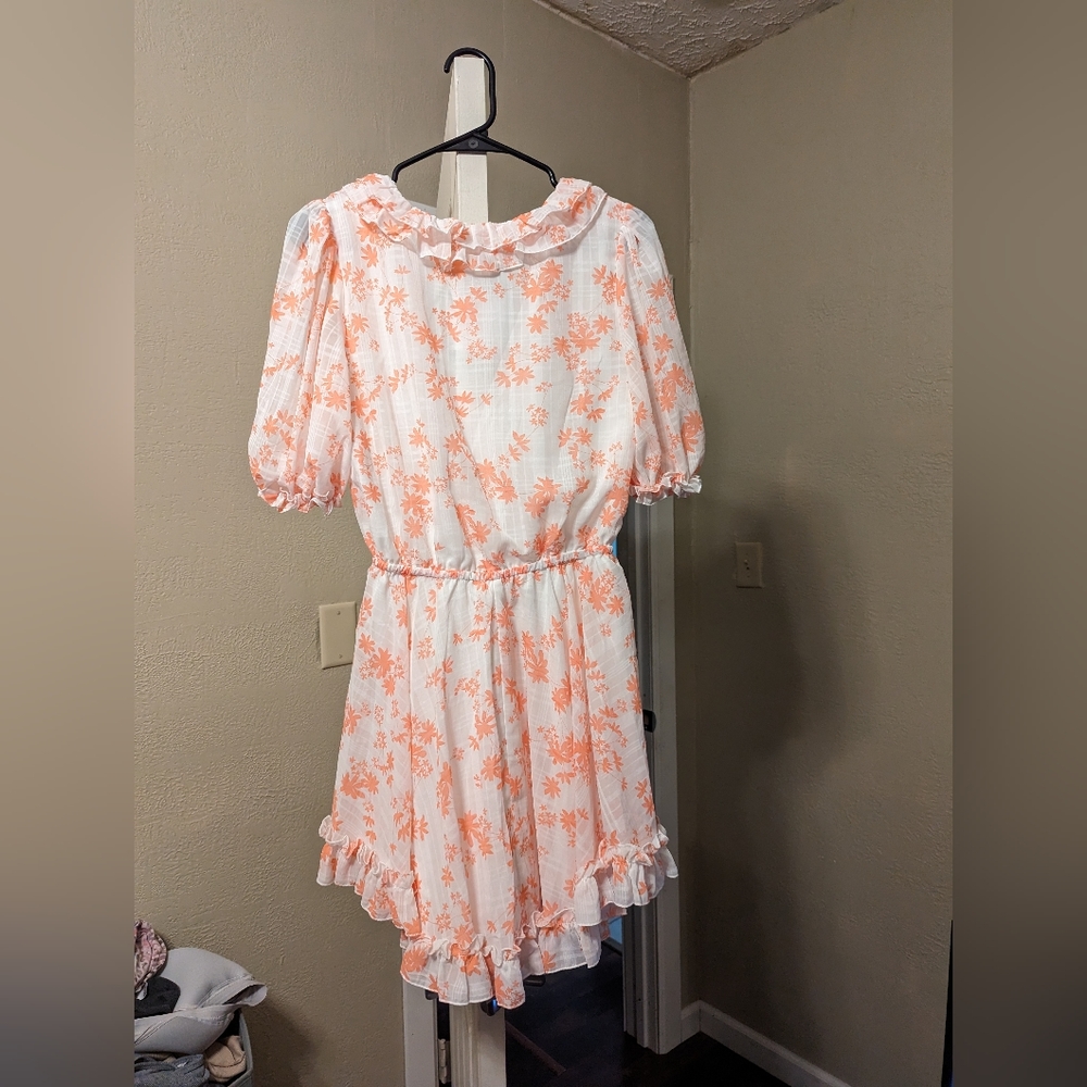 Gorgeous dress - Picture 5 of 10